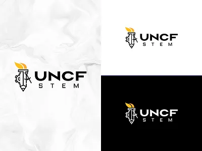 Logo design branding design illustration logo vector