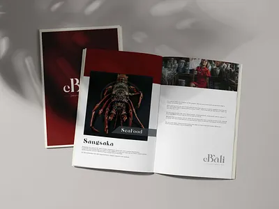 Creating your own online magazine about the island of Bali branding design graphic design illustration logo typography ui vector брендинг графический дизайн