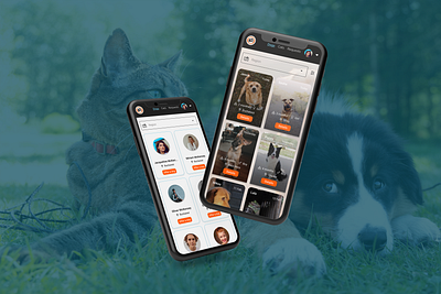 Adopt A Pet app design ui ux