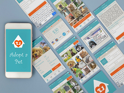 UX/UI Design