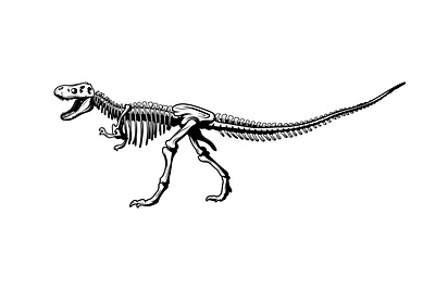 Dinosaur Skeleton Vector black