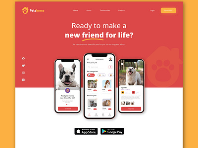 Pets Home Website design icon illustration ui vector