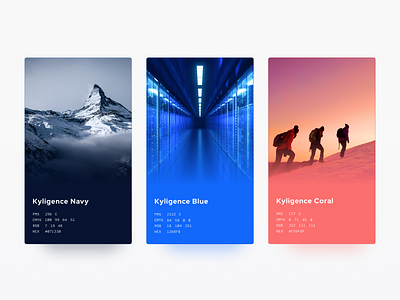 Navy Blue & Coral brand color branding vi