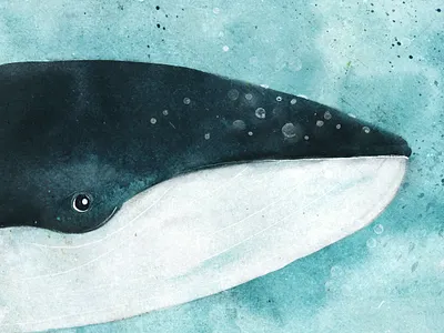 Book cover "Whalien 52 Hz" bookcover bookdesign bookillustration illustration illustrator kidsillustration whale whalien