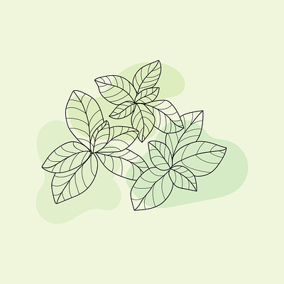 basil branch