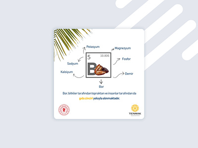 Social Media Template Design - TENMAK boron branding energy socialmediapost tenmak