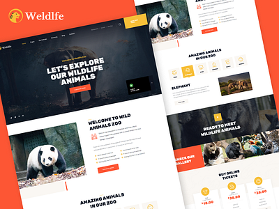 Weldlfe - Wildlife Web Design adventures animal park animals pets care clean conservation creative design donation environmental ecology illustration jungle logo ui ux vector wildlife zoo