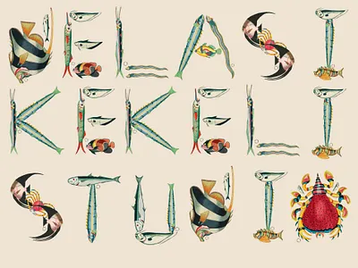 The Fish Alphabet alphabet art artist branding classical art design fishes font font design graphic design merchandise