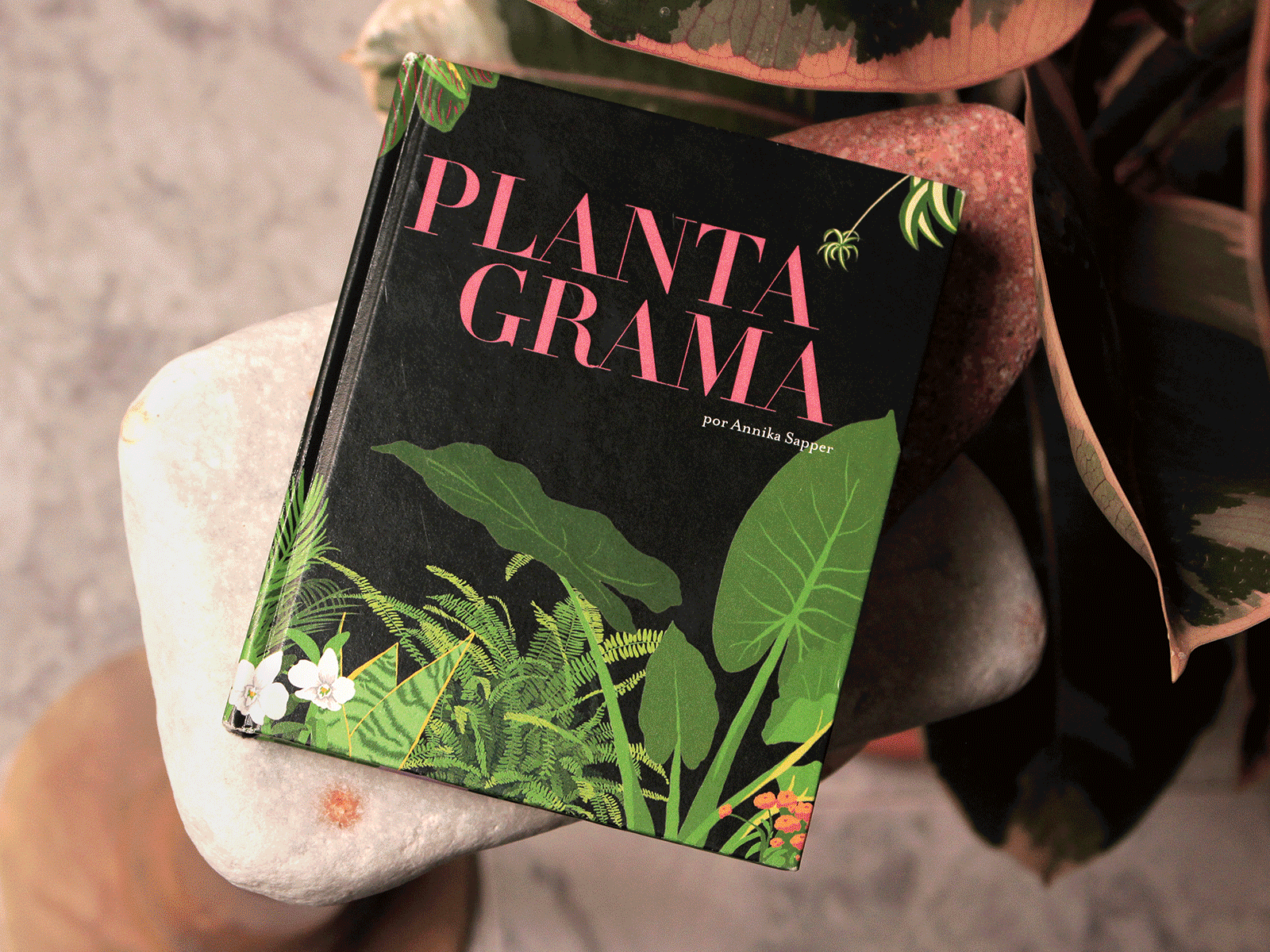 Plantagrama book cover design book cover illustration editorial illustration graphic design illustrated book illustration interior design plant illustrations portrait illustrations