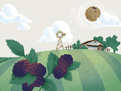 Welcome to Willamette Valley Pie Co. berry farm field illustration pie procreate sky valley willamette valley wvpie