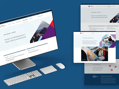 Impact Frontiers - Nonprofit Website Design design design agency nonprofit web design web design agency web development