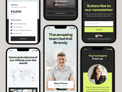 Brandy - Responsive Page about us agency app business design hero marketing minimal mobile modern newsletter pricing responsive seo services studio testimonial ui ux website