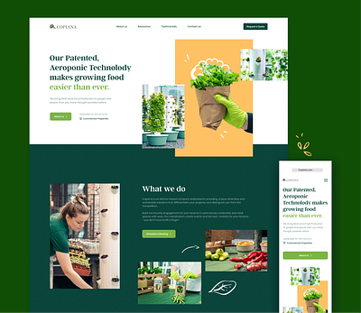 Home page graphic design ui ux