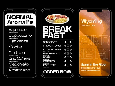 Coffee Ordering App - (Concept) app application design font fonts illustration logo ordering phone type type design typeface typography ui
