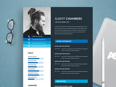 Resume Professional template
