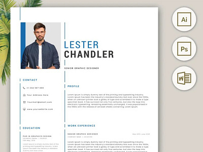 Resume Professional template