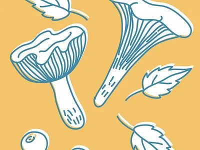 Mushrooms botanical illustration vector wacom