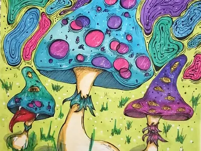 Mushrooms illustration арт рисунок
