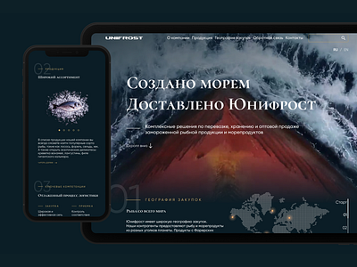 Site for company - fish delivery design sitedevelopment uxui