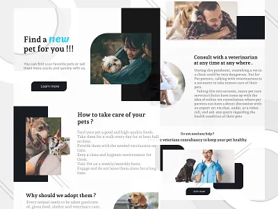 Pet Adoption Landing Page