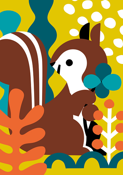 Squirrel animals illustration squirrel