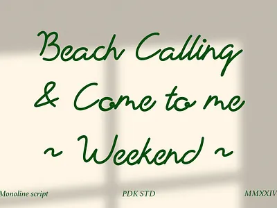 Vignetta - Casual Script Monoline decorative