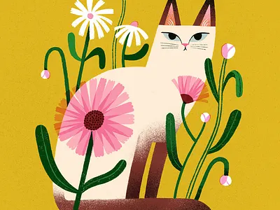 Daisy animal illustration cat cats and flowers colourful illustration summer