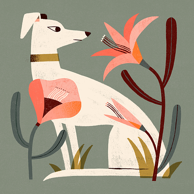 Tropical Whippet illustration whippet