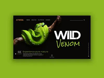 ATWild - A wildlife exploring page design design dribbble figma ui uidesign uitrends webdesign webdesigner webdevelopment