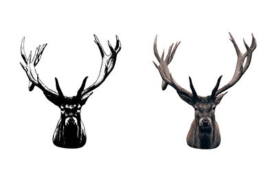 Deer Head Vector wild