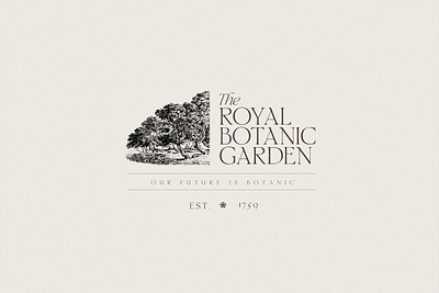 Florentino - Elegant Calligraphic Serif branding calligraphic calligraphy classic creative market design editorial elegant font fonts graphic design logo design packaging renaissance serif type design typeface typography ui