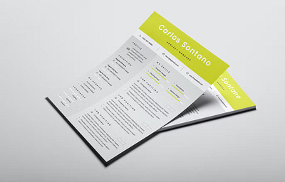 Resume Word a4 branding clean cover letter cv design cv template design doc e learning ecommerceweb graphic design illustration motion graphics online course website professionally resume resume design resume template resume word website design