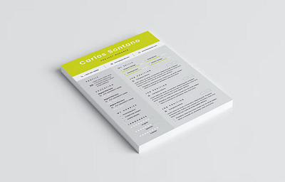 Resume Word a4 branding clean cover letter cv design cv template design doc e learning ecommerceweb graphic design illustration motion graphics online course website professionally resume resume design resume template resume word website design