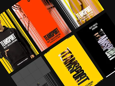 TeamSport Brand adobe xd branding design designs graphic design identity illustration logo minimal photoshop shot typography ui ux vector web website