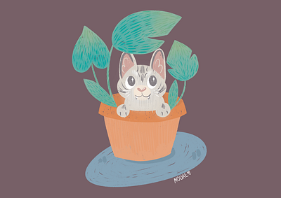 Hide-and-seek animal illustration animals cat cat illustration illustration procreate