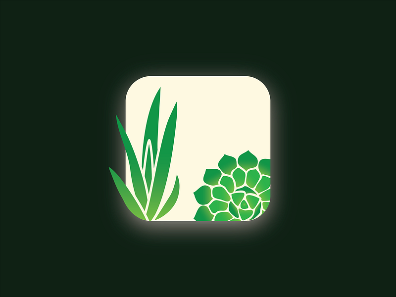 Succulent App Icon daily ui design graphic design icon