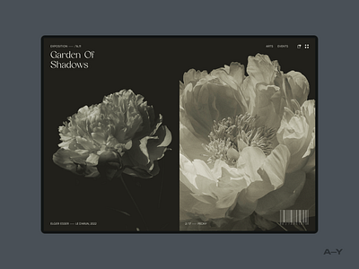 Art Gallery /004 clean design digital flower gallery grid grids inspiration minimal typography ui ux web