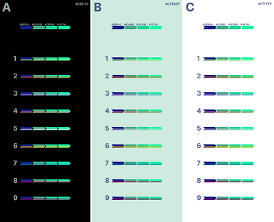 Rahko Color Palette Choices brand brand design brand identity branding client colors concept design design business flat freelance graphic design green palette ui ux vector