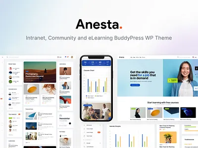 Anesta - Intranet, Extranet, Community and BuddyPress WordPress blog business design illustration web design webdesign wordpress wordpress theme wordpress themes