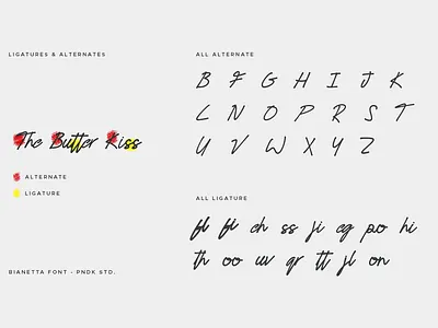 Bianetta - Modern Script Font classy