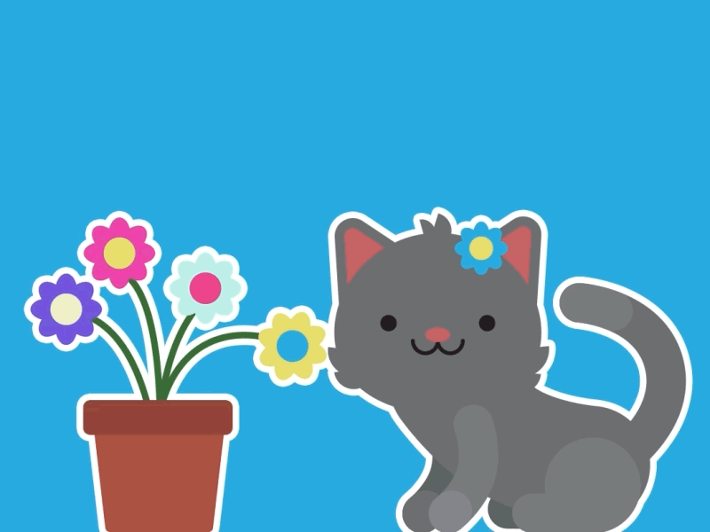 Kitty after effects animation design illustration loop motion design motion graphics