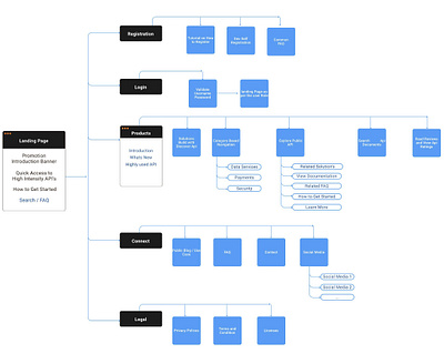 API Portal IA information architecture