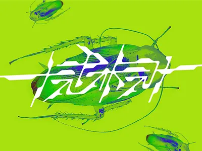 Tarakan calligraphy cyrillic dj lettering logo logotype typemate typography