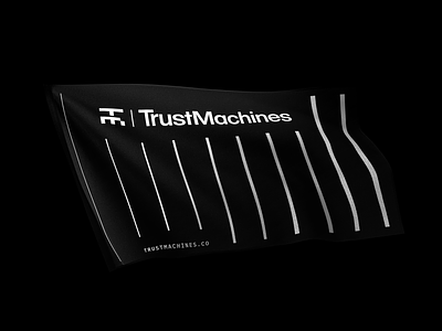 TM Linear System bitcoin black and white blockchain brand identity branding crypto finance flag logo technology typography