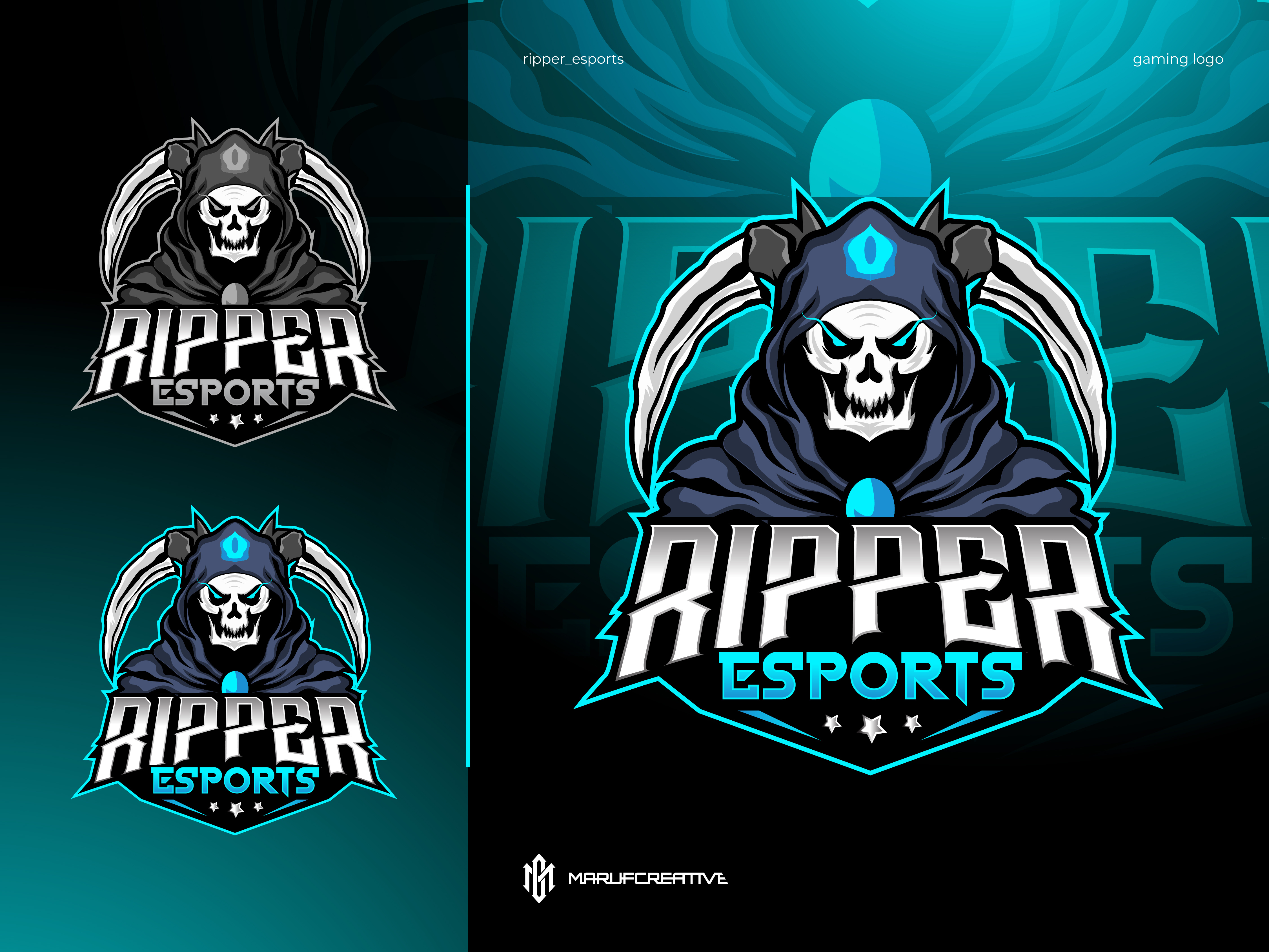 Example of Modern Mascot Logo Design