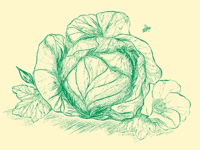 Southern Chef Potluck branding cabbage camera illustration chef design event event branding farm food illustration foodie graphic design illustration local okra southern wholesome wave