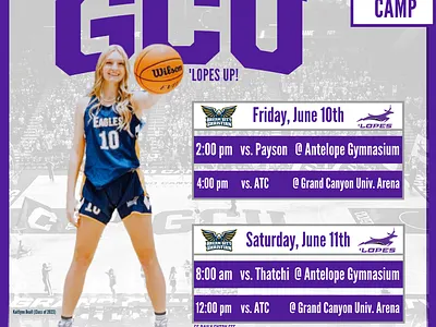 "Creative Content" Series (Kaitlyn Beall) app basketball branding canva design graphic graphic design illustration instagram social media twitter