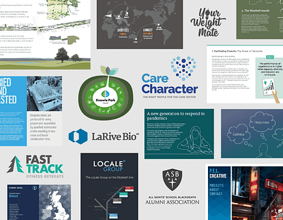 some work examples branding design illustration logo