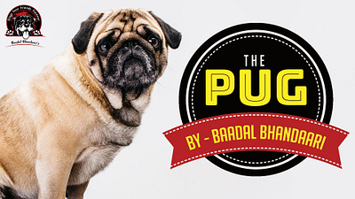 THE PUG BY- BAADAL BHANDAARI banner design brand identity logo website