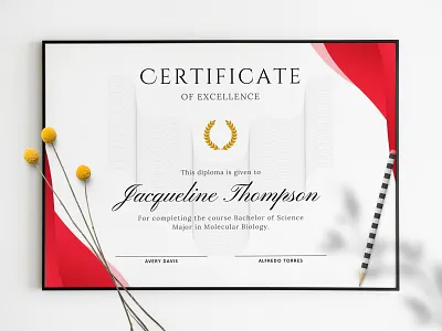 Editable Certificate of Excellence 3d animation app art branding design graphic design illustration logo typography ui ux vector